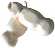 Ingrandisci Foto"MONTESANINO - BEBE'"
